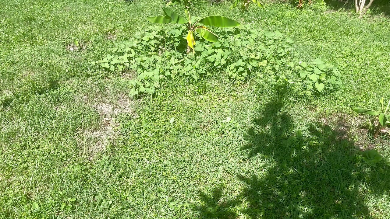 Nude in the Back Yard