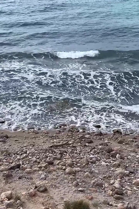 Vlog Lissa Brown Goes to a Nudist Beach to Film a Custom Video