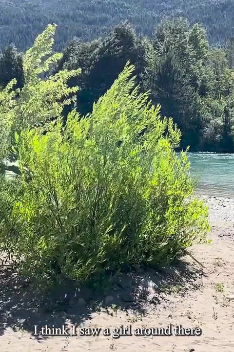 I Lose Myself in the Forests of the South and I Find a Rich Argentina Ft. Albx09