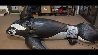 Whale Girl