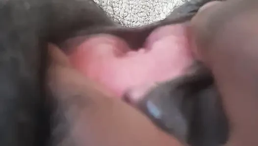Memek berbulu gemuk hitam Jerman dengan klitoris besar closeup