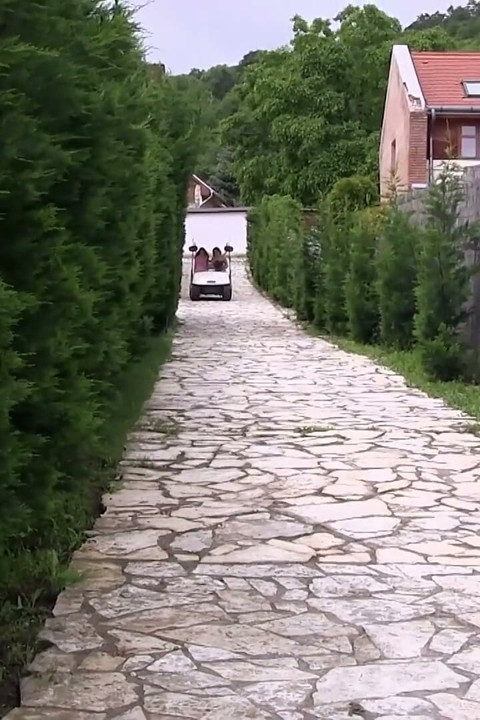 The Gals Had a Competition to See Who Will Reach Orgasm From Outdoor Fingering First