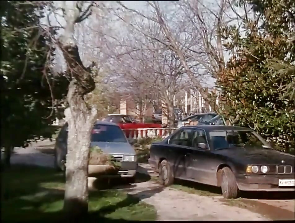 Coño peludo follando lamiendo gran polla en posición 69