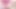Kadın kılıklı hope yaramaz pembe gülüyle oynuyor