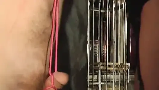 Cewek dominatriks seksi ini lagi asik ngentot pantat dan mengikat kontol dan peler cowok ini