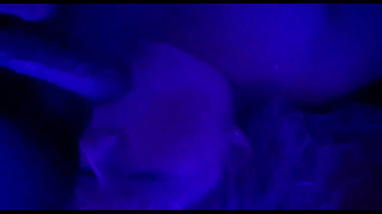 Wife has fun while husband is away