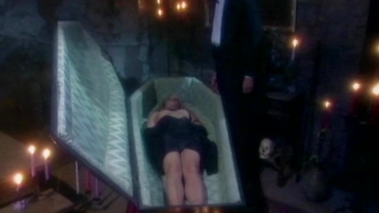 Galeri osin - seksi model vitrini