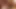 T.W.M: presents: LITTLE ASIAN TRANSSEXUAL - Chapter #10