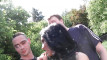 Pregled videozapisa