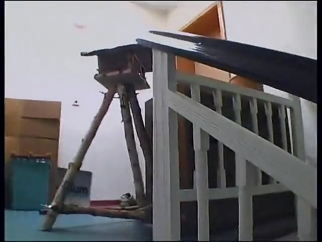 Casting blonde pussy dildoed before cock sucking and banging hard