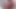 RAWHOLE Lusty Brazillian Stud Ivar Raw Breeds Noli After BJ