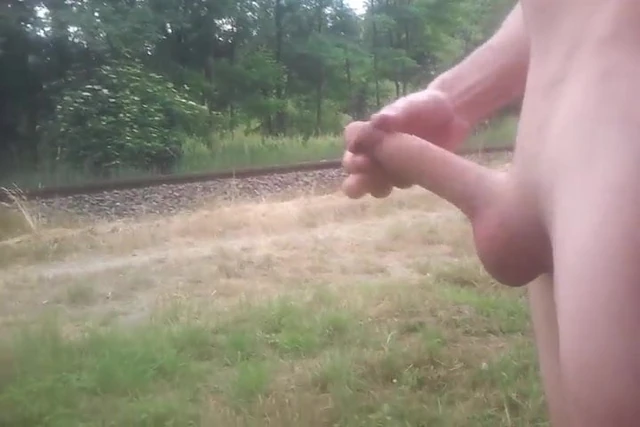 train flash 6