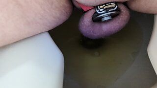 Pissing in Flat cage with a fat Innie cylinder