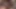 Ksal RaposaSexy:Episode 02🦊From 2016 to 2023 making my little Fox cum in my mouth.