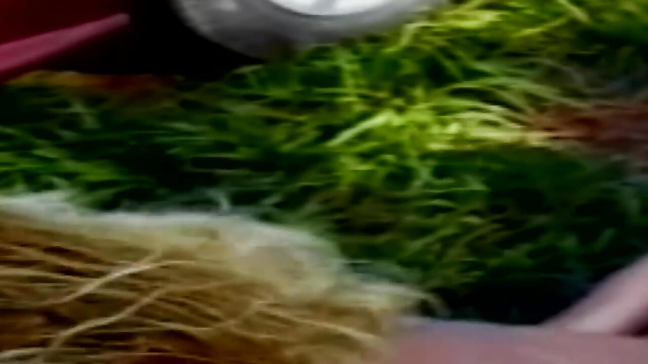 18 और ट्रांससेक्सुअल