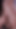Stunning moment from "Assfucking with my Venezuelan student niece we whisper so that no one sees us that we fuck in the"