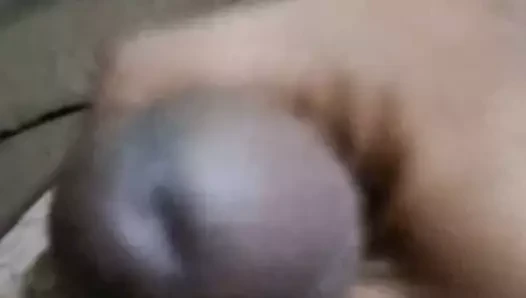 El 31 talimatı