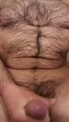 Hamsterwichsen 2