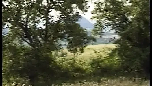 Даму из Германии трахнули на улице в любительском видео