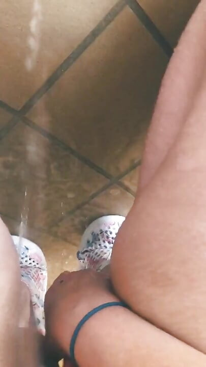 Rosa hase