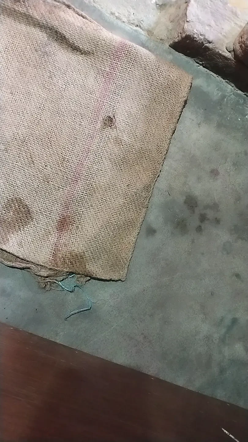 Indian bhabhi sex