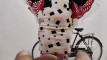 Pregled videozapisa