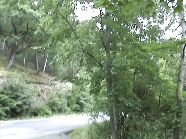 European teen picked up and fucked on the side of the road
