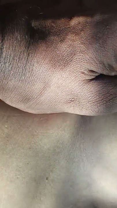 Doggy style in jungle | Clip 1