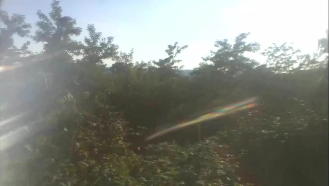 Wank in nature