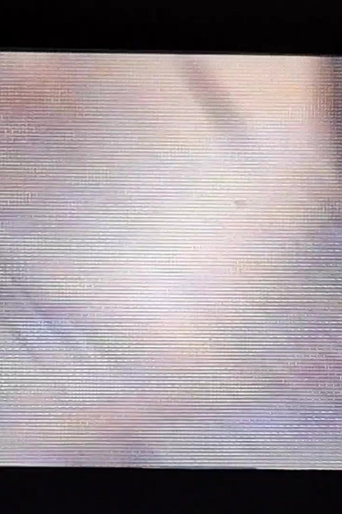 ממשיך ללקק