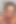 Clara Dee yeni başlayanlar için anal talimat veriyor - 31 talimatı oyunu