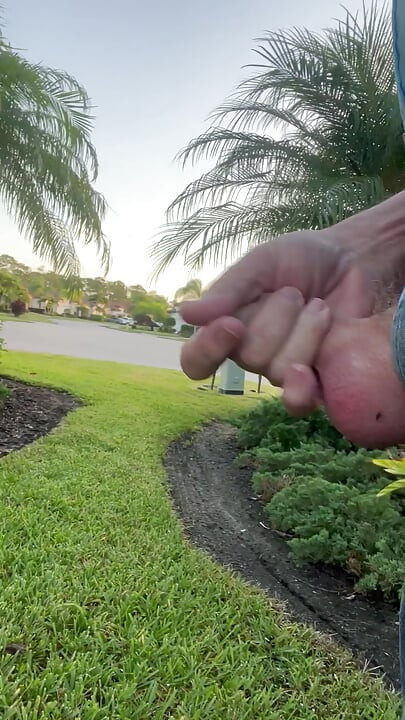 Public Exposure in Side yard