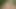 Fucks in the forest video