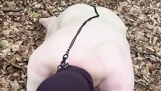 Унижение в лесу...