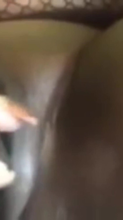Having a Shower Rubbing My Pussy Stimulating My Clit with Vibrator
