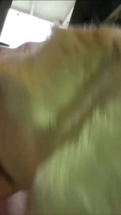 Iconic moment from "GERMAN EX GIRLFRIEND IN WHITE LINGERIE FUCK IN REAL SEXTAPE"