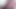 Glans closeup