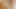INFLUENCER TEEN KRISSIEX MASTURBATING AFTER EVENT