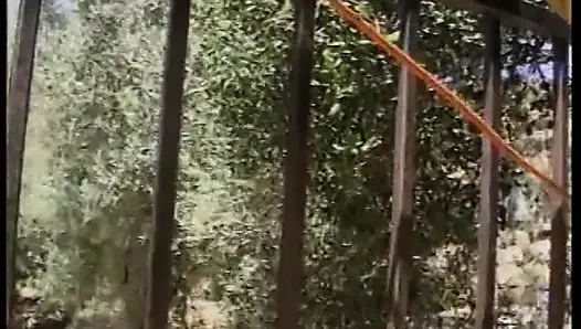 Cewek nakal nyepong dan ngentot kontol di taman