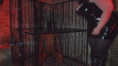 Pratinjau video
