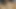 Masturbation Scene On Cam With Shemale