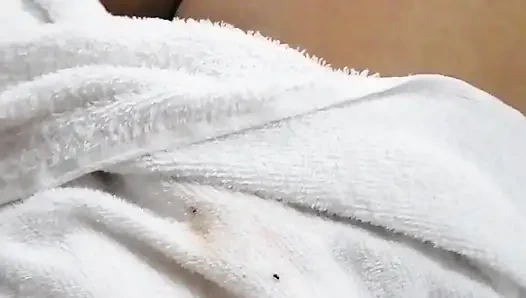 Колумбийка с волосатым шишкой