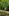Maidstonenakedman går naken i Bluebell Hill woods del 2
