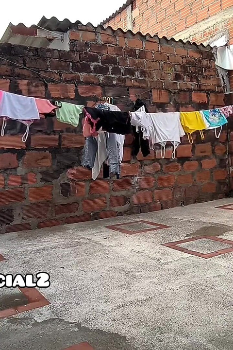 Mis calcetines en el patio trasero