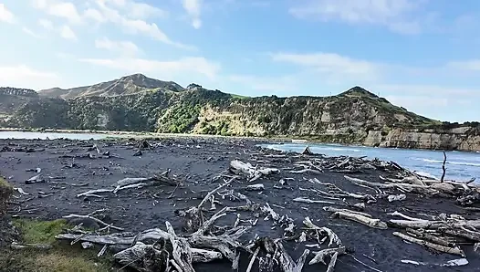 Rotorua vlog: ucuz bir motelde şenlik