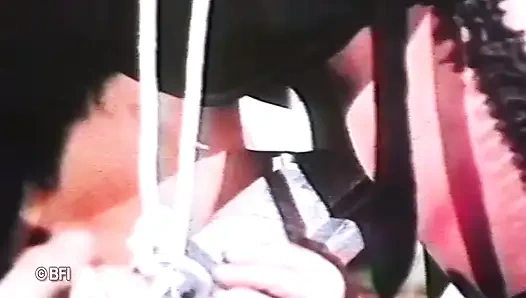 Istriku harus belajar - musik daripada suara