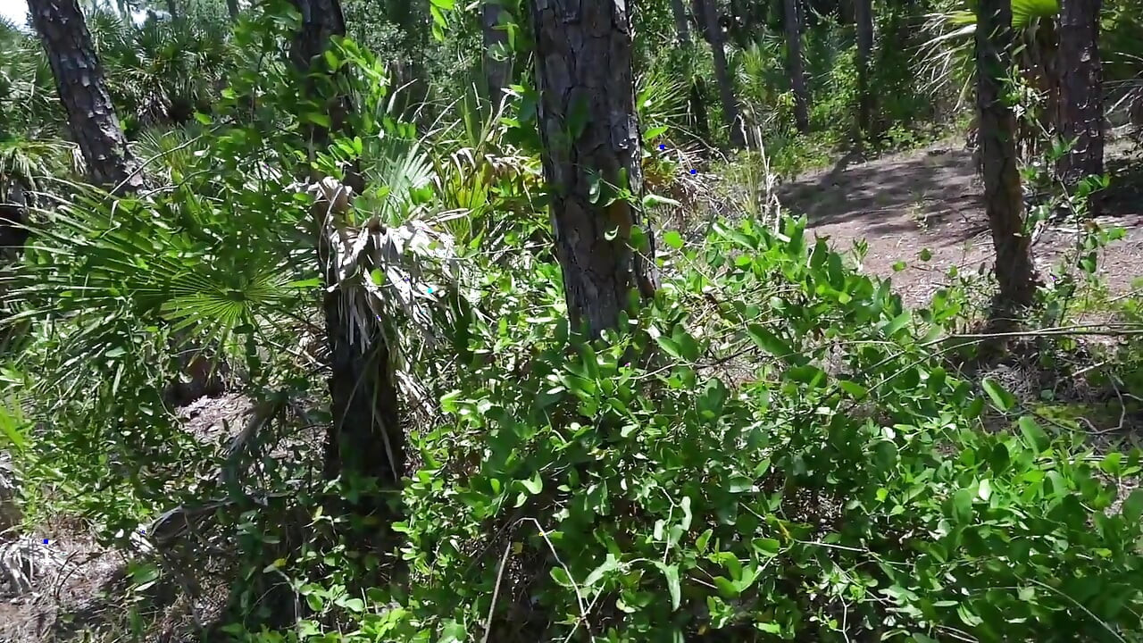 Bts Nature Walk and Masturbation on Trail