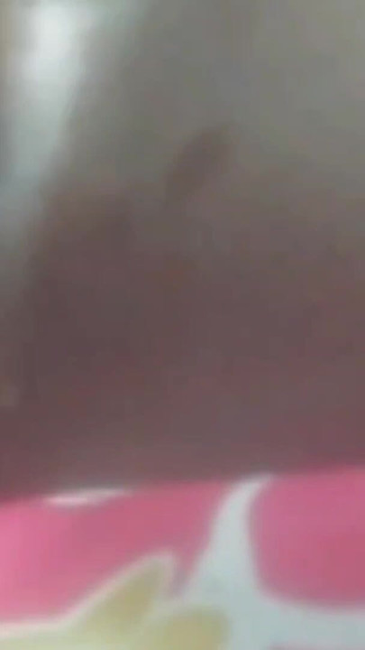 Momento de cair o queixo de "enteada quer meu pau grande com beijos"