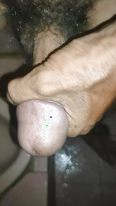 Javanese Dick