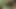Bangladeshi Hijabi Muslim Women Sex Video